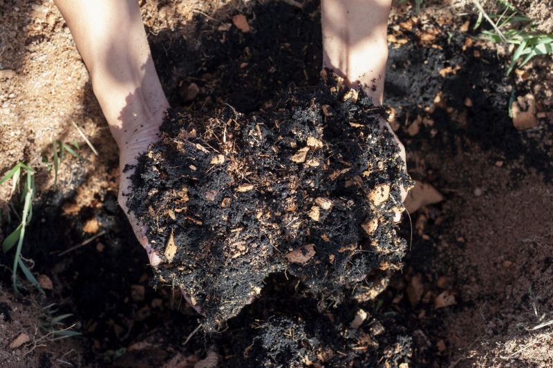 Organic Mulch Installation in Aiken, SC