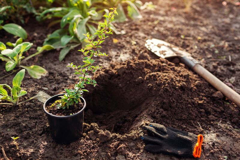Perennial Landscaping in Ventura County, CA