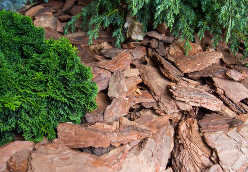 Pine Mulch Installation in Honolulu, HI