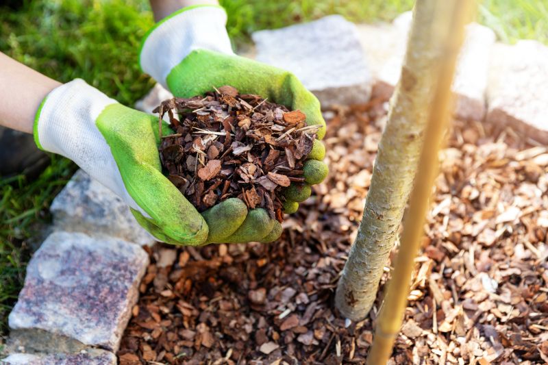 Pine Mulch Installation in Honolulu, HI