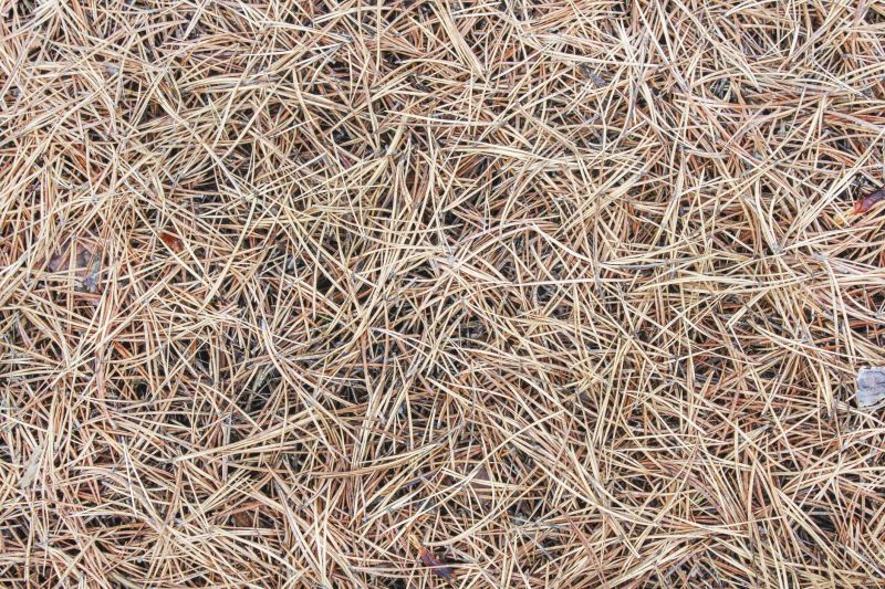 Pine Straw Spreading in Ventura County, CA