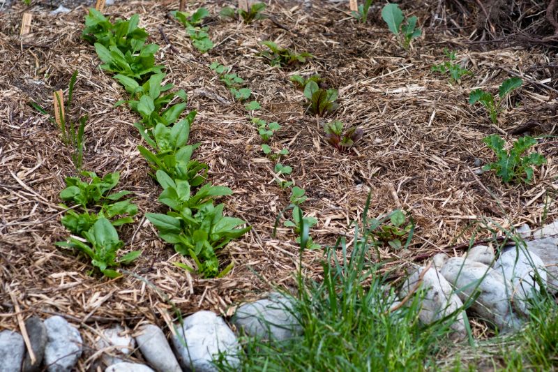 Plant Bed Mulching in Ventura County, CA