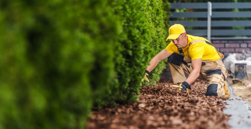 Plant Bed Mulching in Ventura County, CA