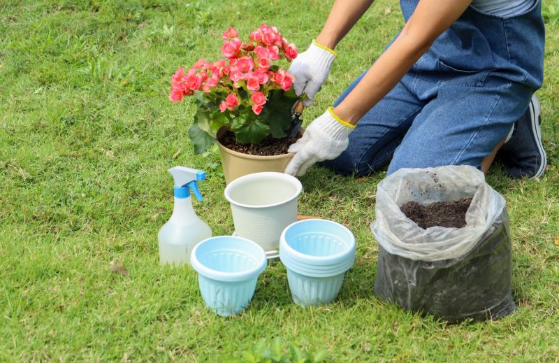 Planting Service in Honolulu, HI