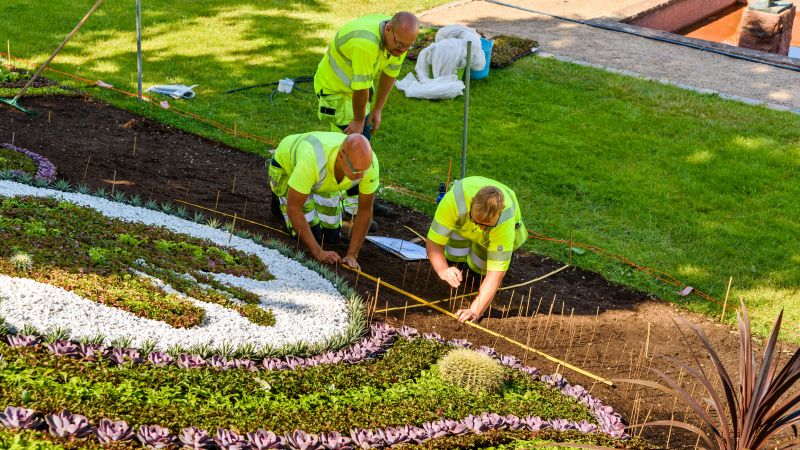 Sloped Yard Landscaping in Honolulu, HI