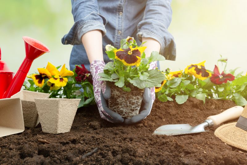 Small Garden Landscaping in Honolulu, HI