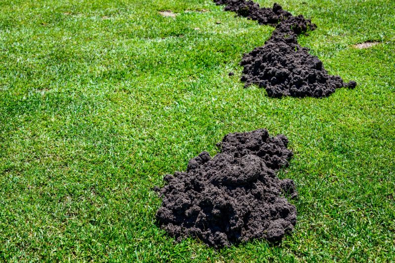 Soil Erosion Repair in Ventura County, CA