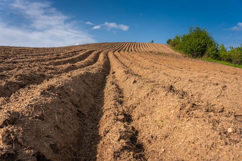 Soil Erosion Repair in Honolulu, HI