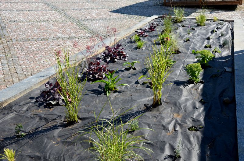 Soil Installation in Honolulu, HI