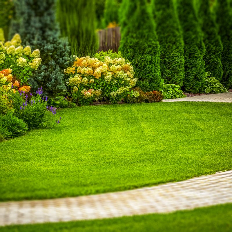 Spring Landscaping in Ventura County, CA