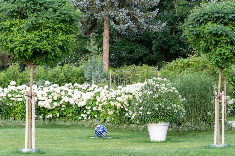 Spring Landscaping in Ventura County, CA