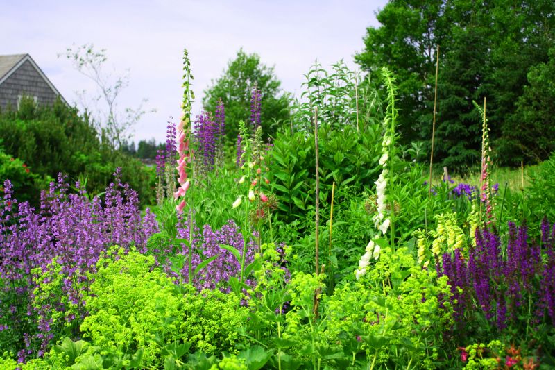 Swale Landscaping in Honolulu, HI