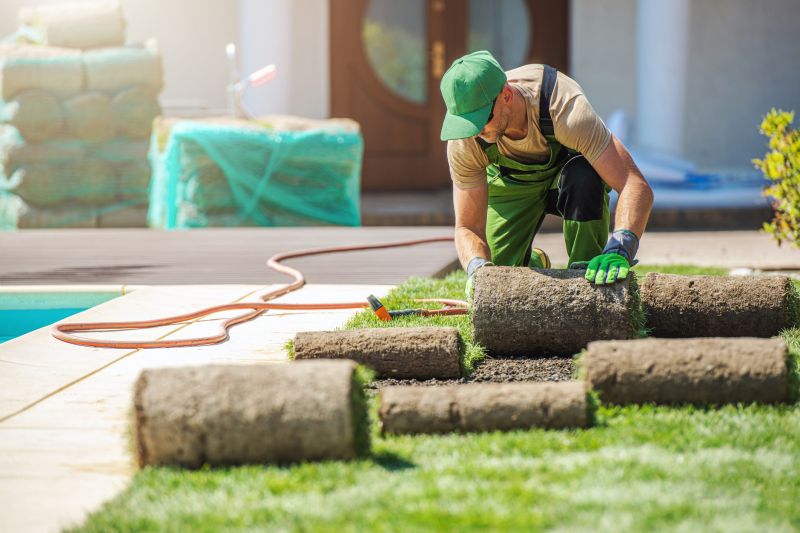Swale Landscaping in Ventura County, CA