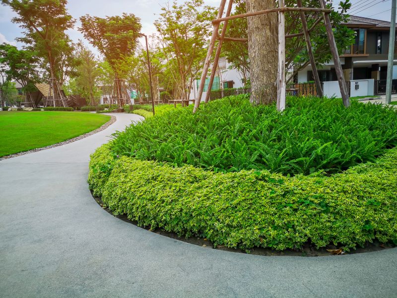 Tree Edging Installation in Ventura County, CA