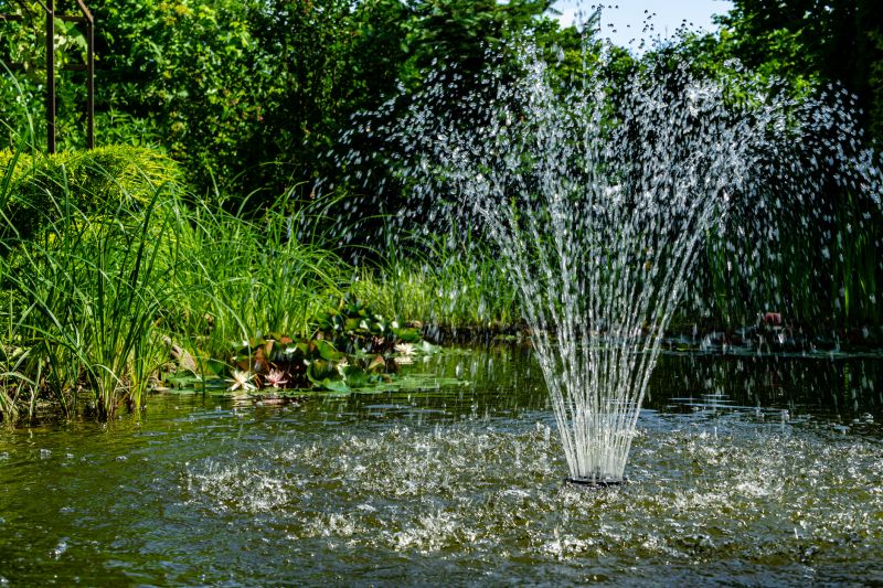 Water Garden Installation in Ventura County, CA