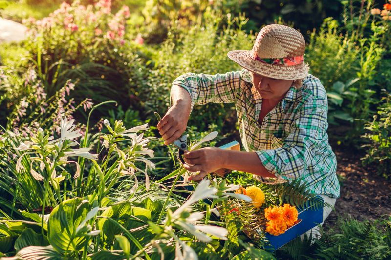 Weeding And Mulching in Honolulu, HI