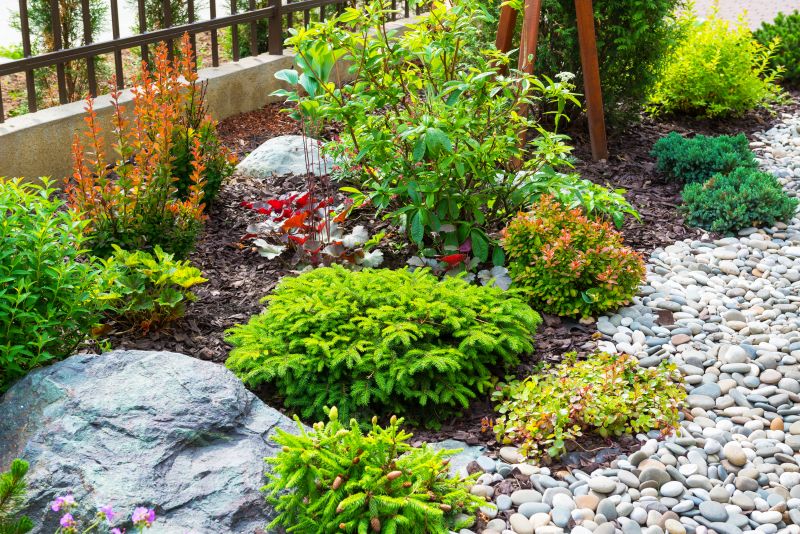 Xeriscaping Service in Ventura County, CA