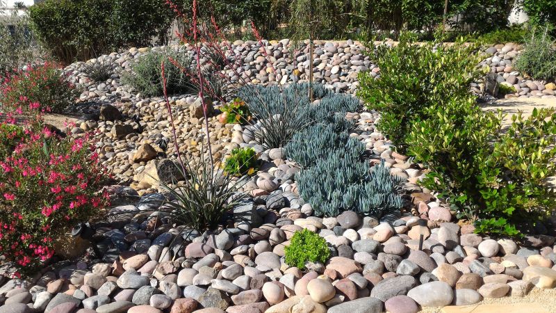 Xeriscaping Service in Ventura County, CA