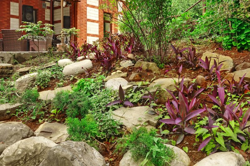 Xeriscaping Service in Ventura County, CA
