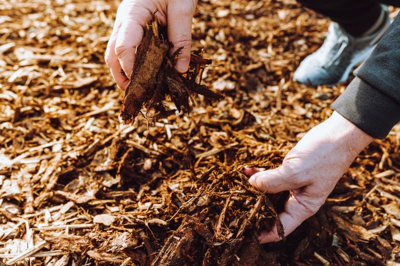 Brown Mulch Installation in Aiken, SC