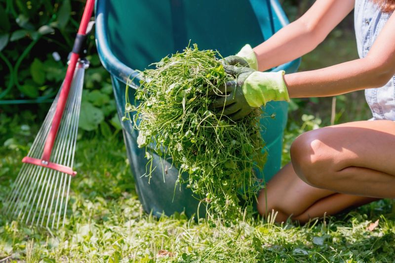 Flower Bed Cleanup Service in Aiken, SC