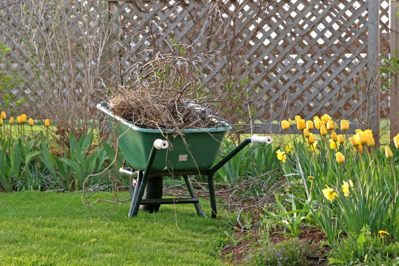 Garden Cleanup Service in Aiken, SC