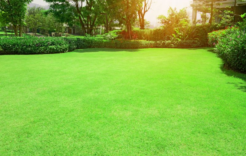 Grass Repair in Honolulu, HI