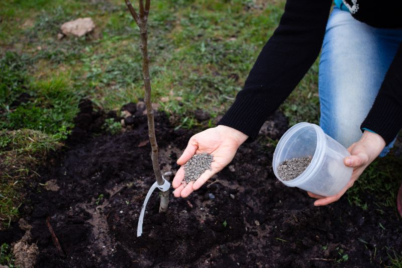 Shrub Care Service in San Jose, CA