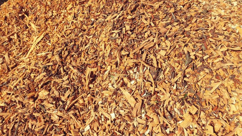 Wood Chips Installation in Honolulu, HI